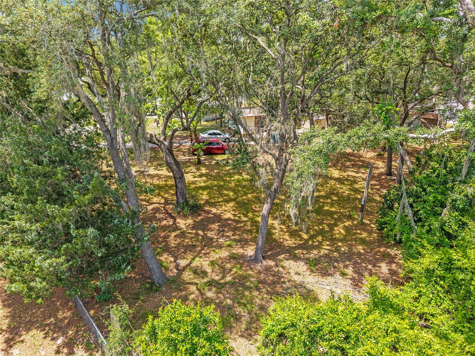 11211 NW 113th Place Chiefland FL 32626 W7886038 image42