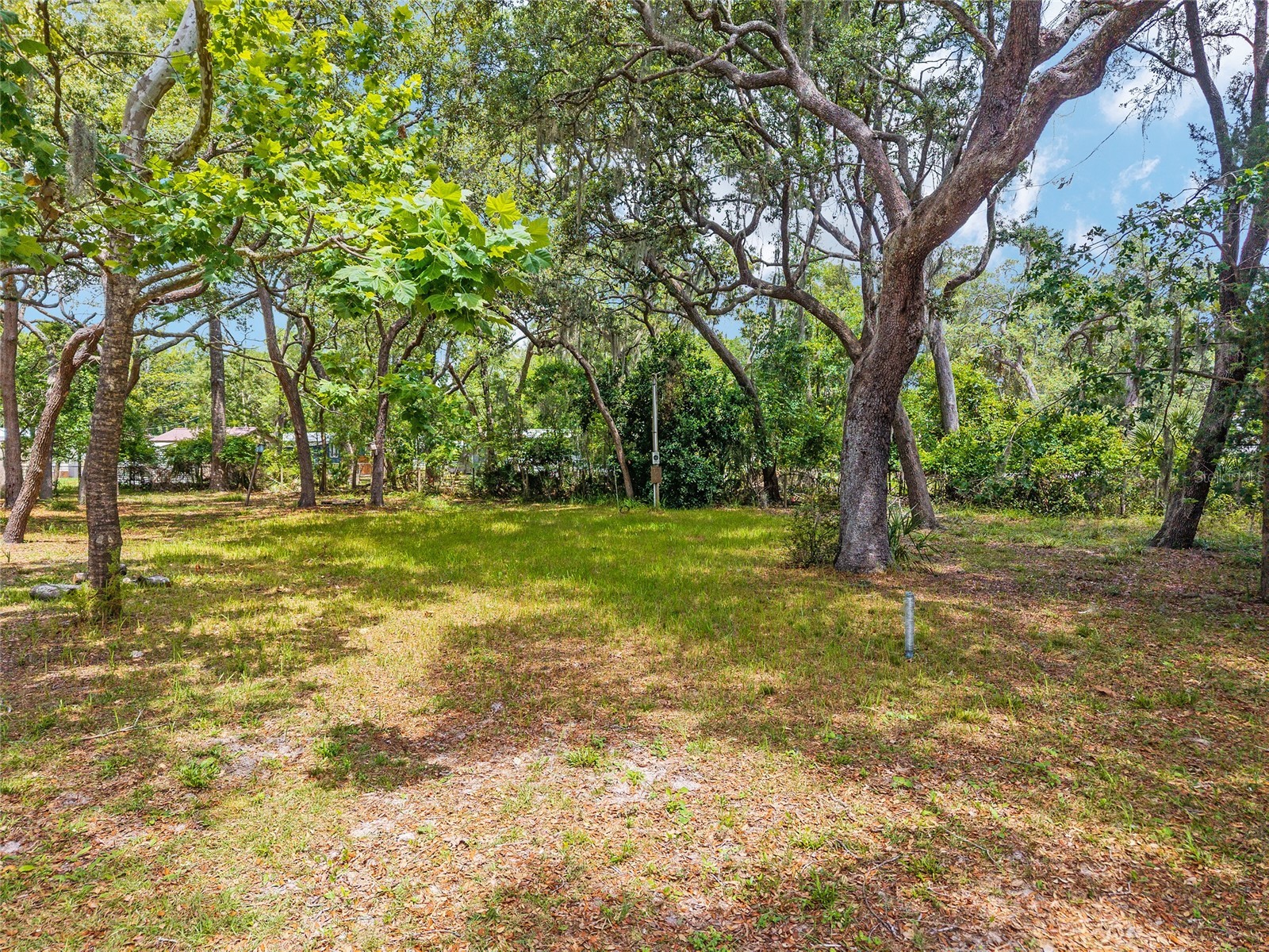 11211 NW 113th Place Chiefland FL 32626 W7886038 image44
