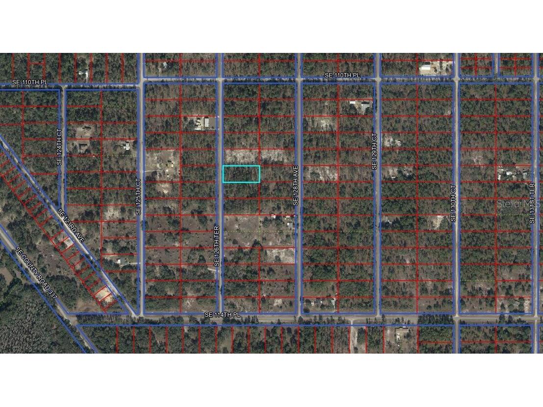 11211 SE 126th Terrace Dunnellon FL 34431 OM723415 image1