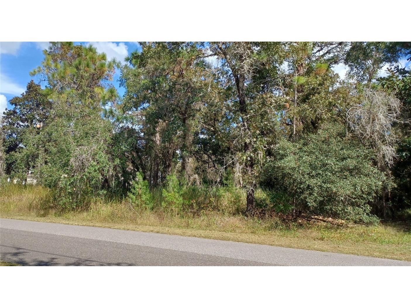 11212 Lomita Wren Road Weeki Wachee FL 34614 U8181054 image1