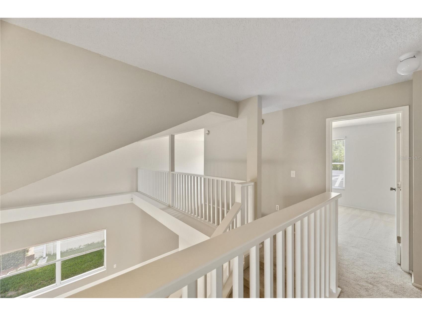 11213 Clayridge Drive Tampa FL 33635 TB8510523 image20
