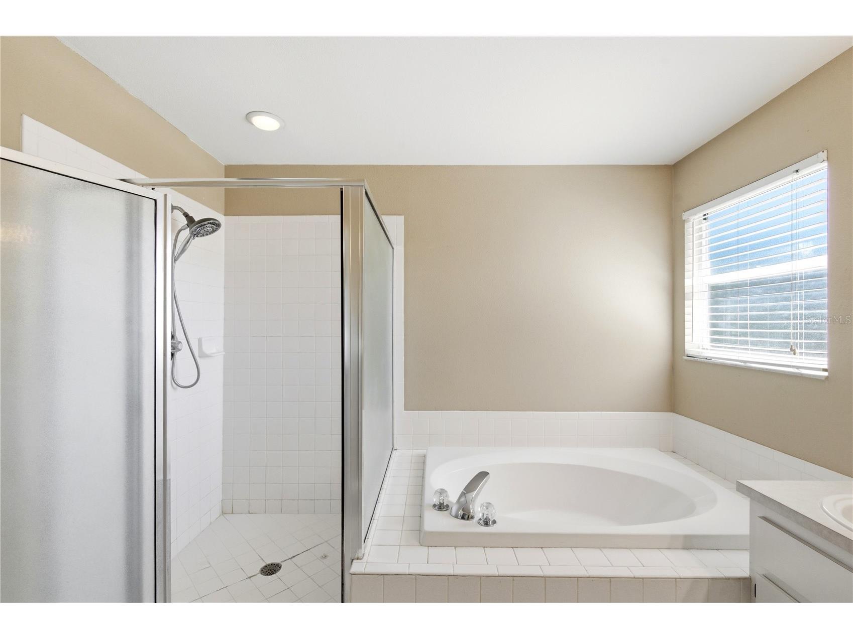 11213 Clayridge Drive Tampa FL 33635 TB8510523 image33