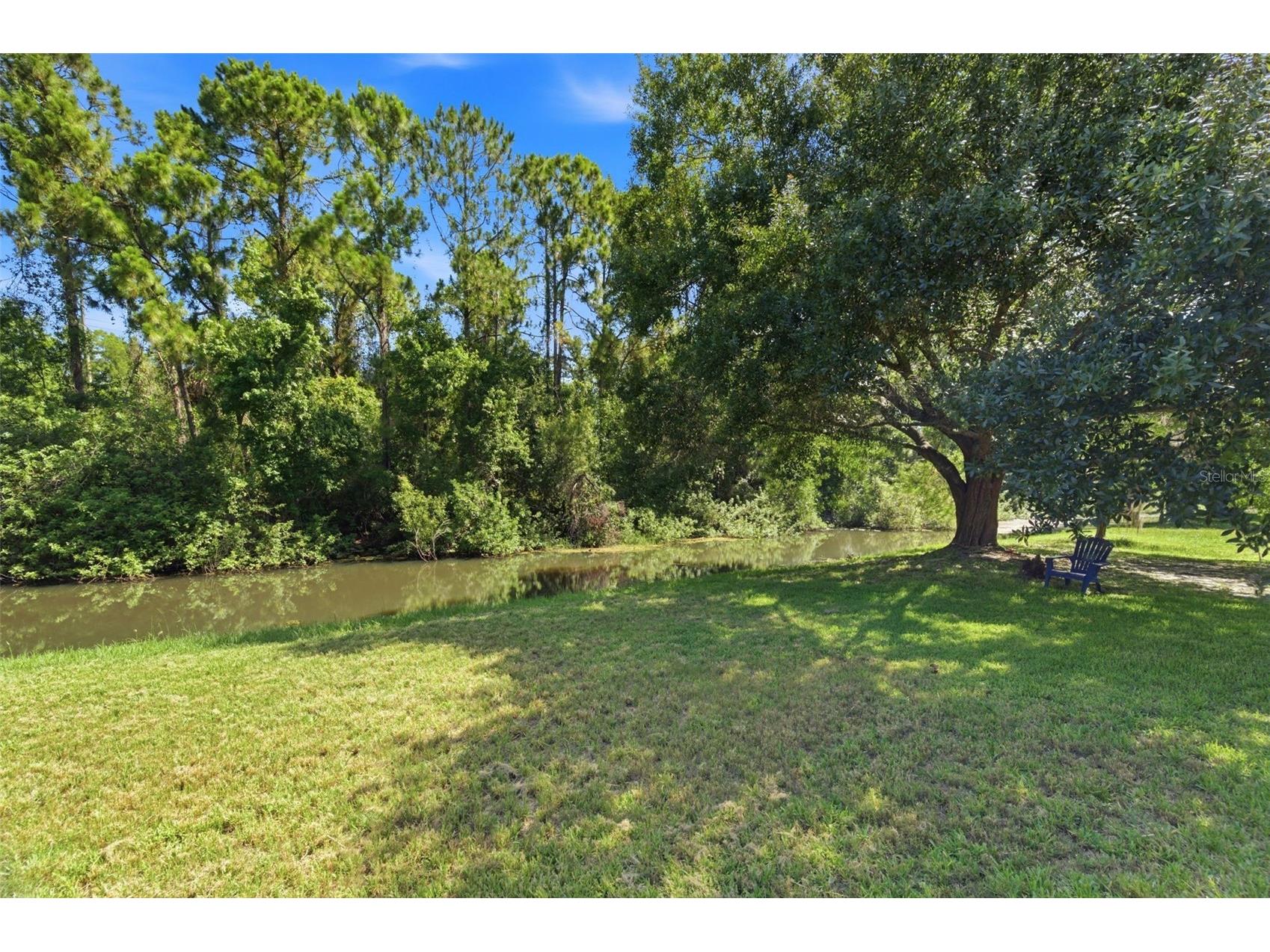 11213 Clayridge Drive Tampa FL 33635 TB8510523 image53