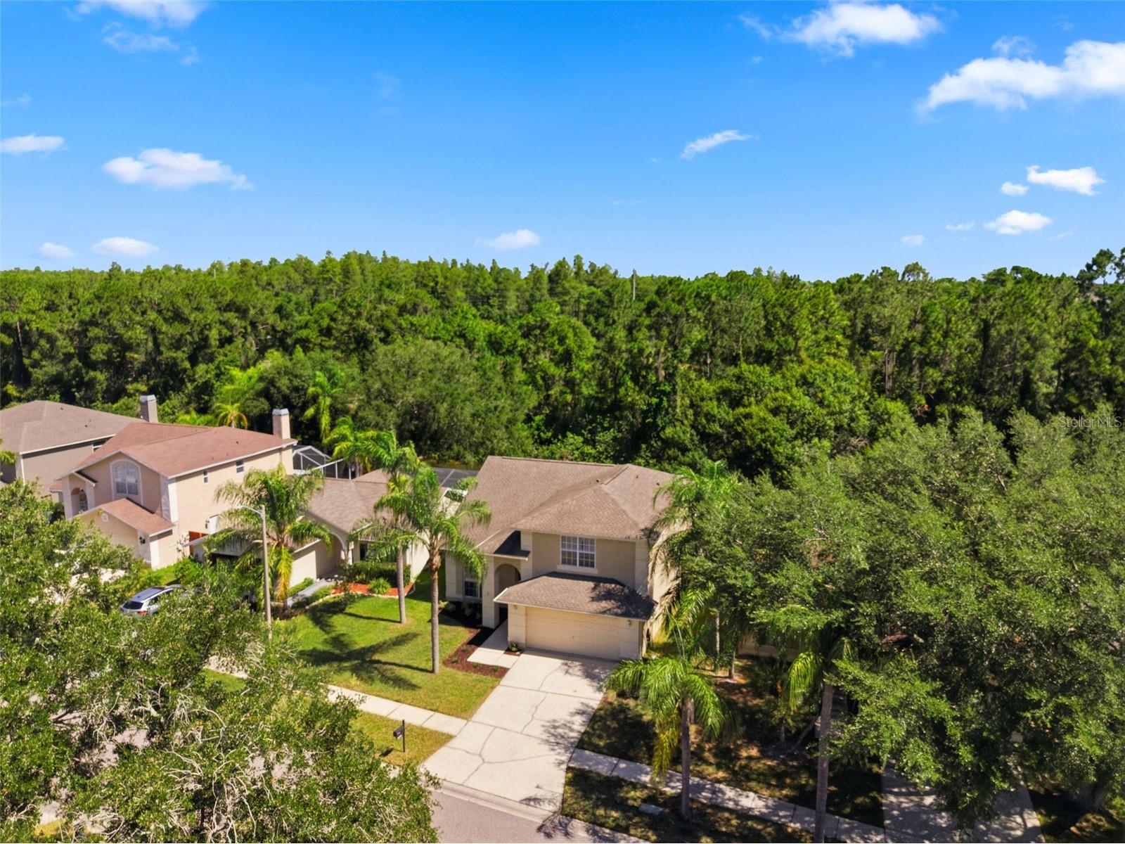 11213 Clayridge Drive Tampa FL 33635 TB8510523 image58