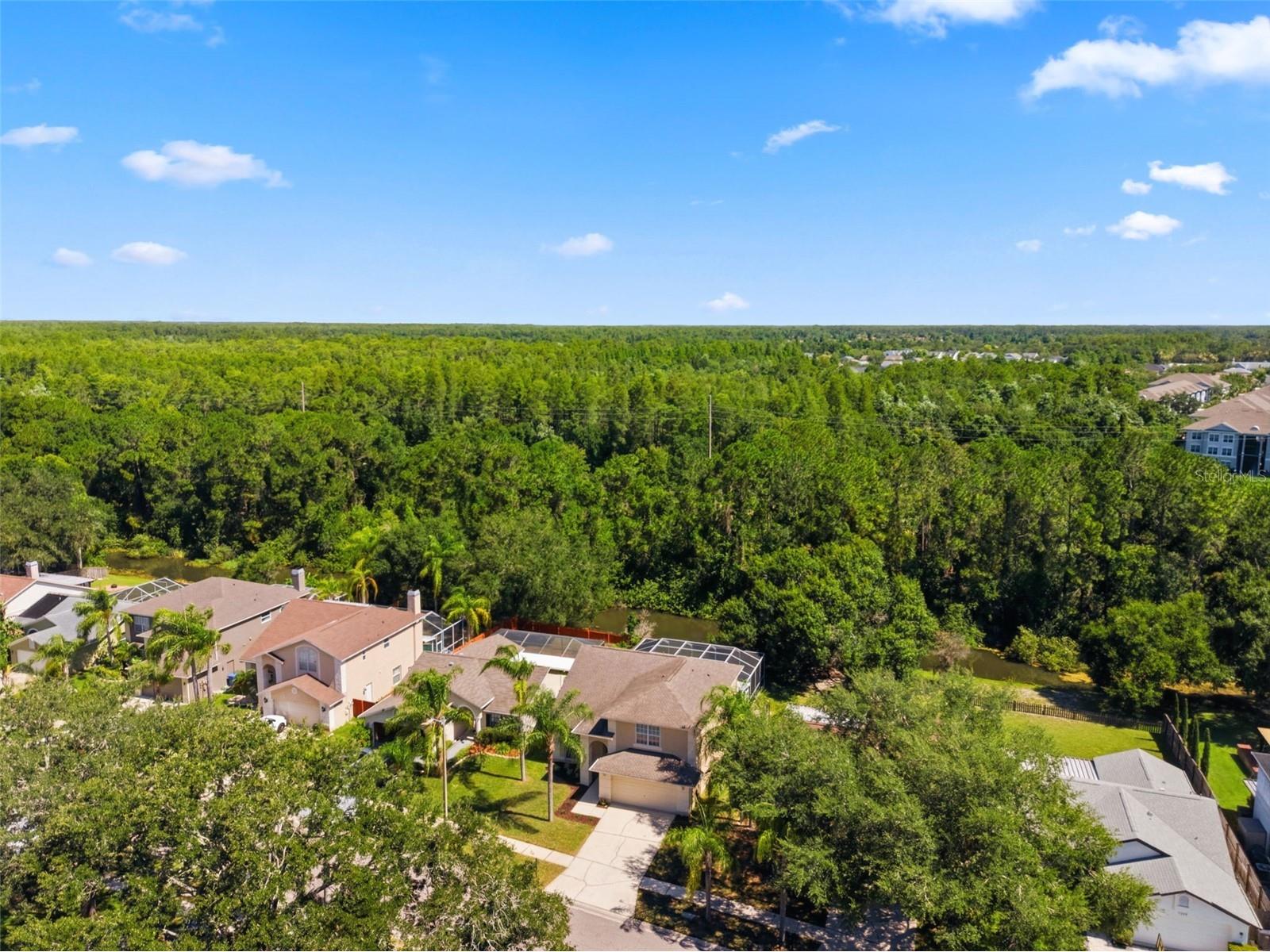 11213 Clayridge Drive Tampa FL 33635 TB8510523 image59