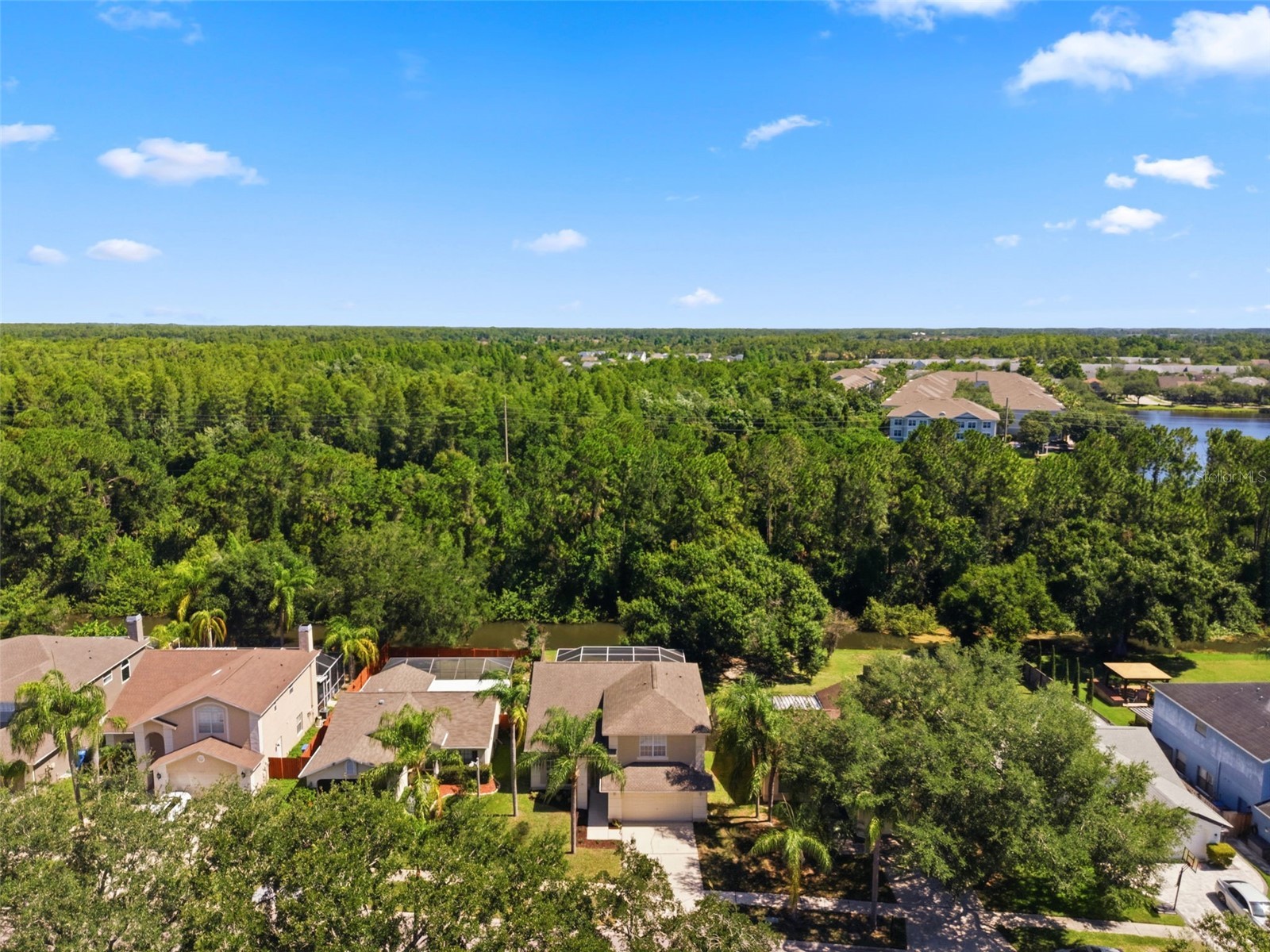 11213 Clayridge Drive Tampa FL 33635 TB8510523 image60