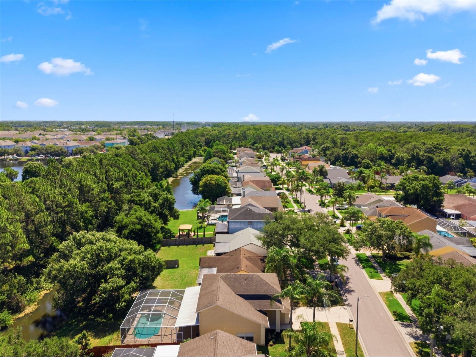11213 Clayridge Drive Tampa FL 33635 TB8510523 image61