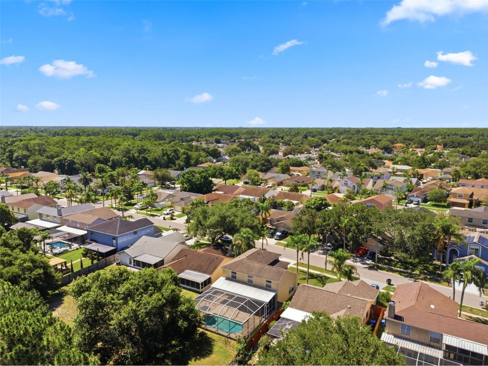 11213 Clayridge Drive Tampa FL 33635 TB8510523 image62