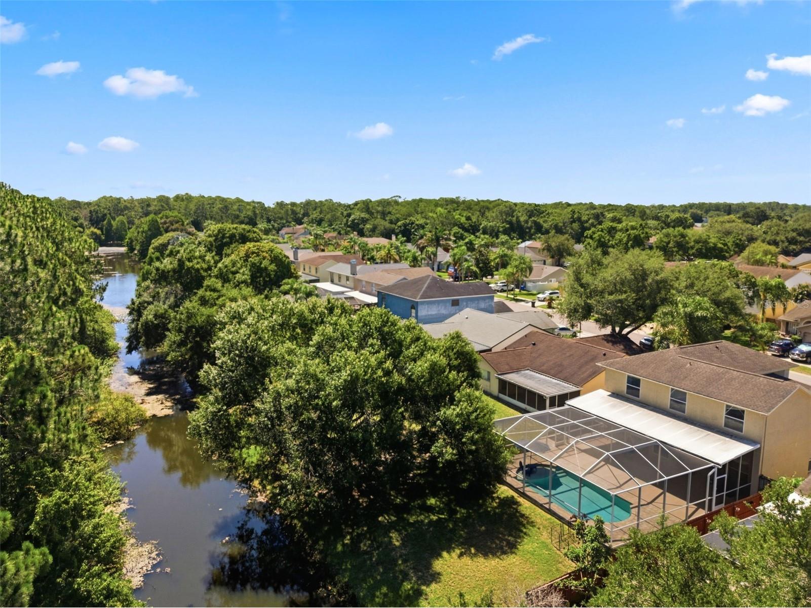 11213 Clayridge Drive Tampa FL 33635 TB8510523 image65
