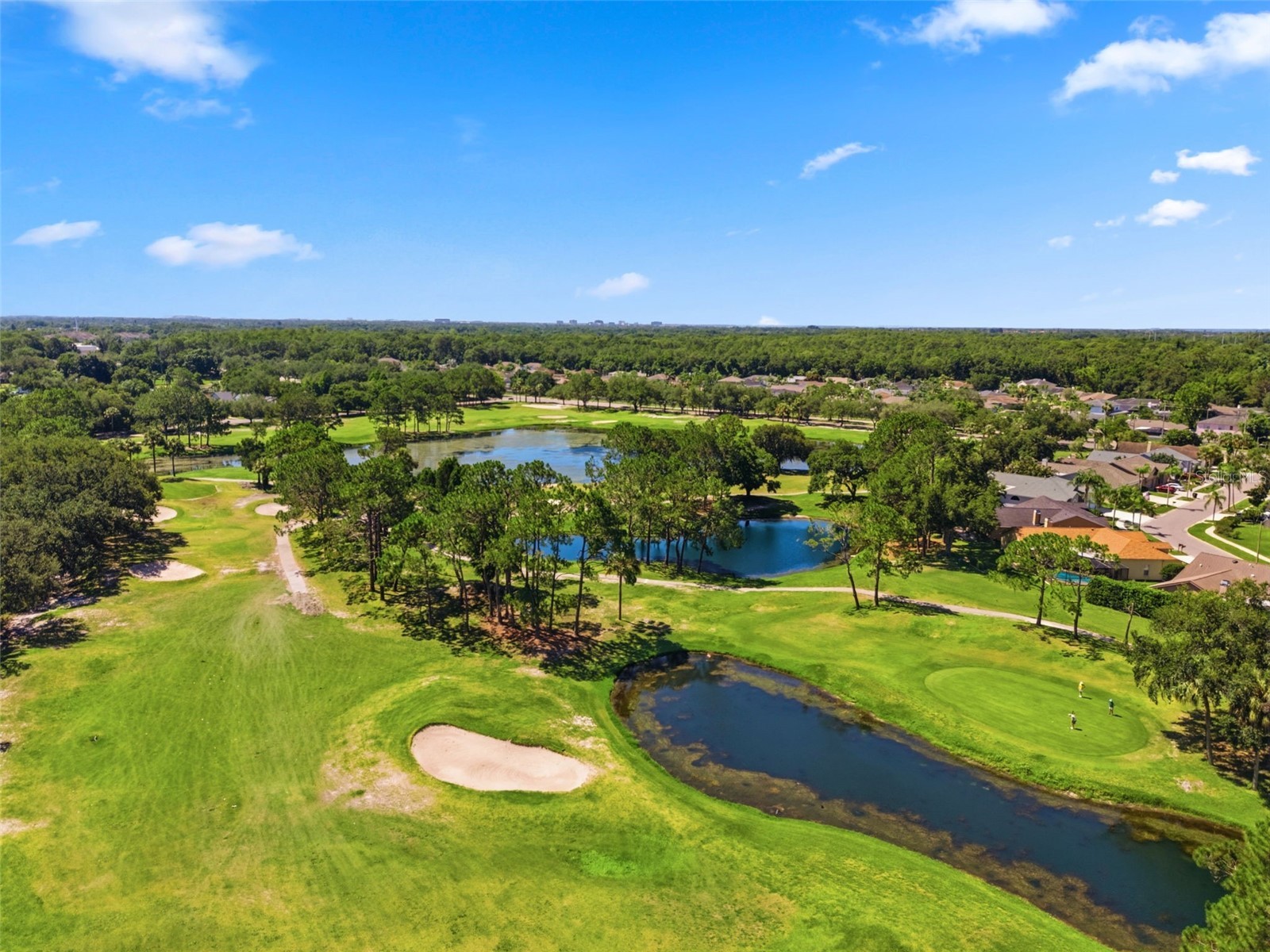 11213 Clayridge Drive Tampa FL 33635 TB8510523 image66