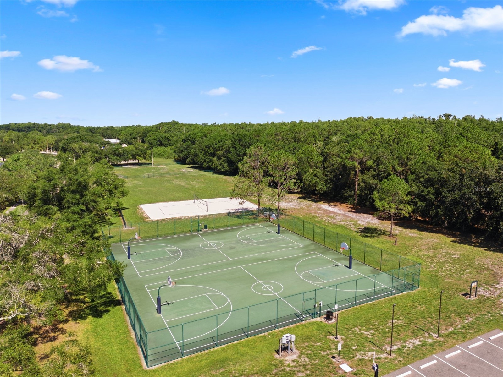 11213 Clayridge Drive Tampa FL 33635 TB8510523 image67