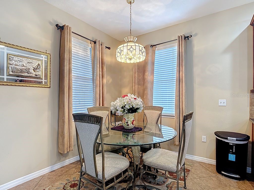 11213 Kiskadee Circle New Port Richey FL 34654 TB8494229 image15
