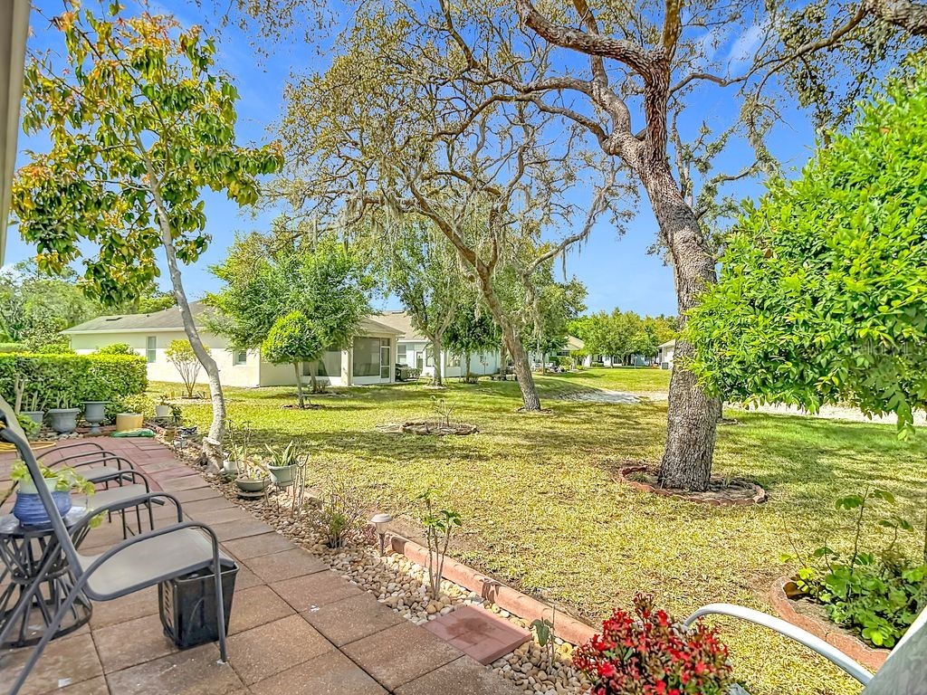 11213 Kiskadee Circle New Port Richey FL 34654 TB8494229 image2