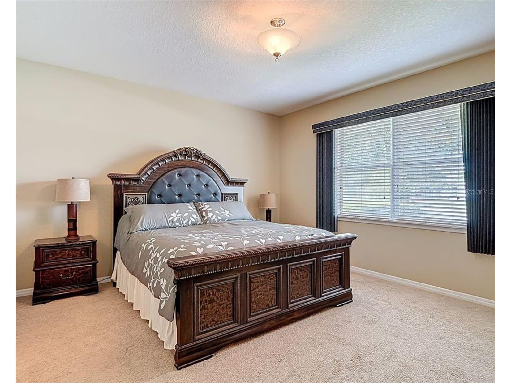 11213 Kiskadee Circle New Port Richey FL 34654 TB8494229 image21
