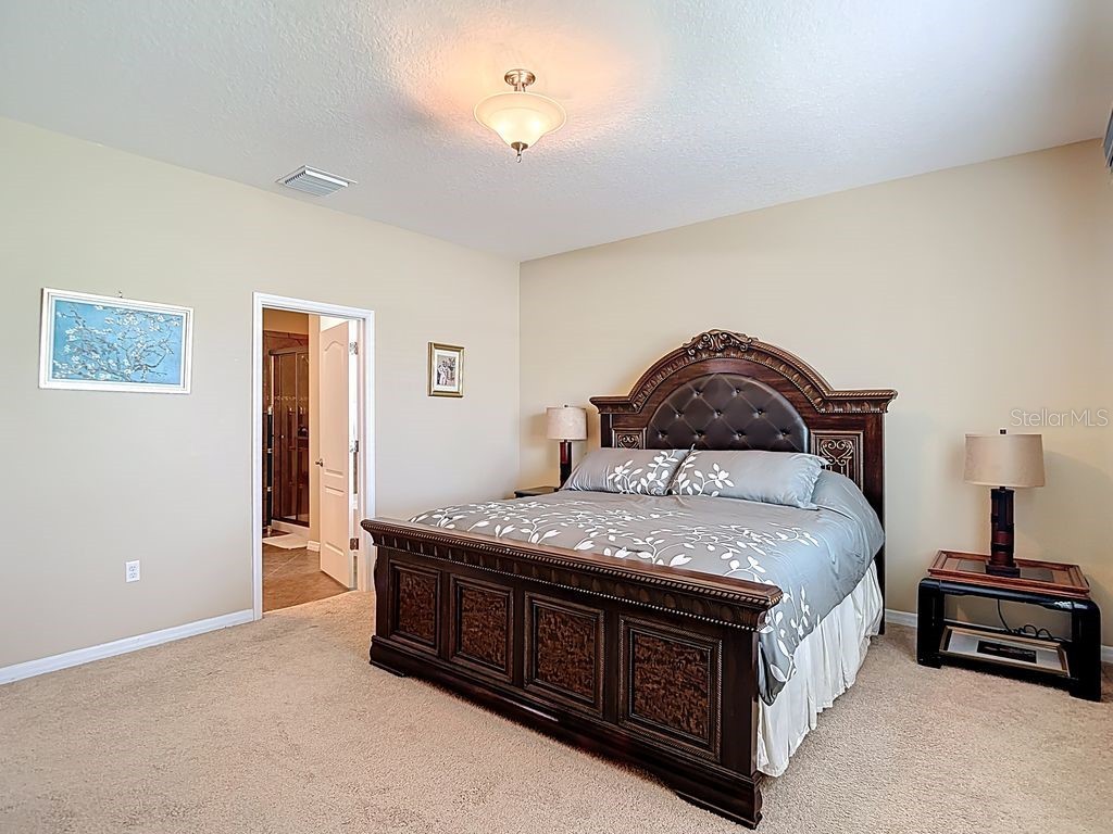 11213 Kiskadee Circle New Port Richey FL 34654 TB8494229 image23