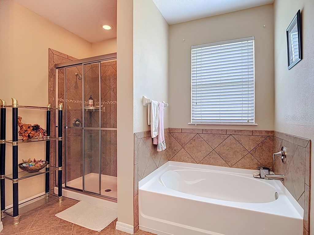 11213 Kiskadee Circle New Port Richey FL 34654 TB8494229 image25