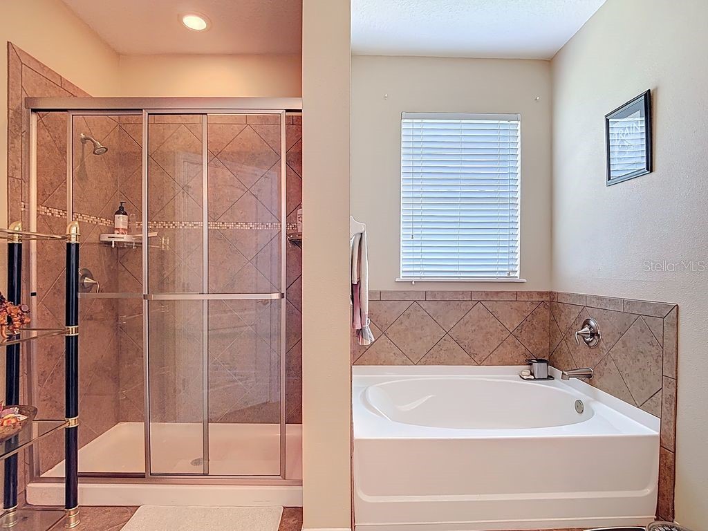 11213 Kiskadee Circle New Port Richey FL 34654 TB8494229 image26