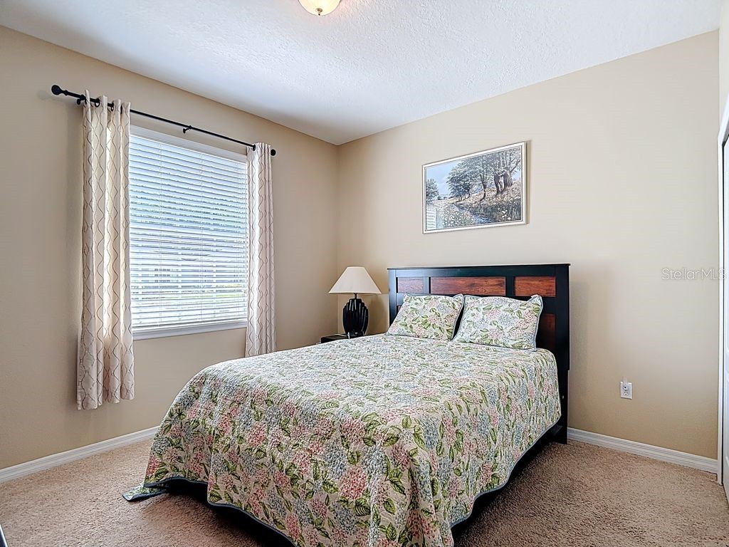 11213 Kiskadee Circle New Port Richey FL 34654 TB8494229 image27