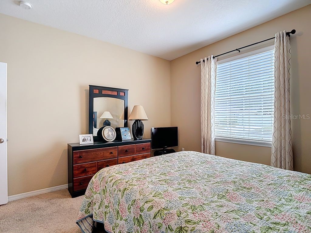 11213 Kiskadee Circle New Port Richey FL 34654 TB8494229 image28