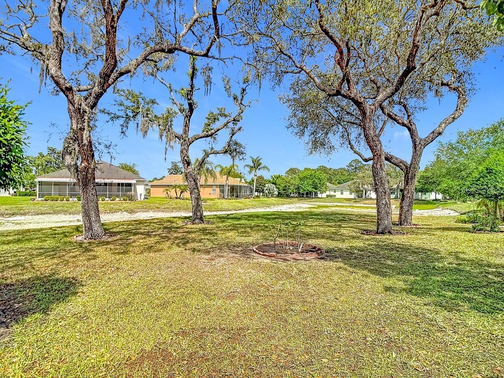 11213 Kiskadee Circle New Port Richey FL 34654 TB8494229 image40