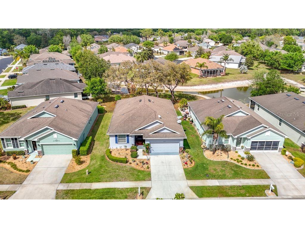 11213 Kiskadee Circle New Port Richey FL 34654 TB8494229 image42