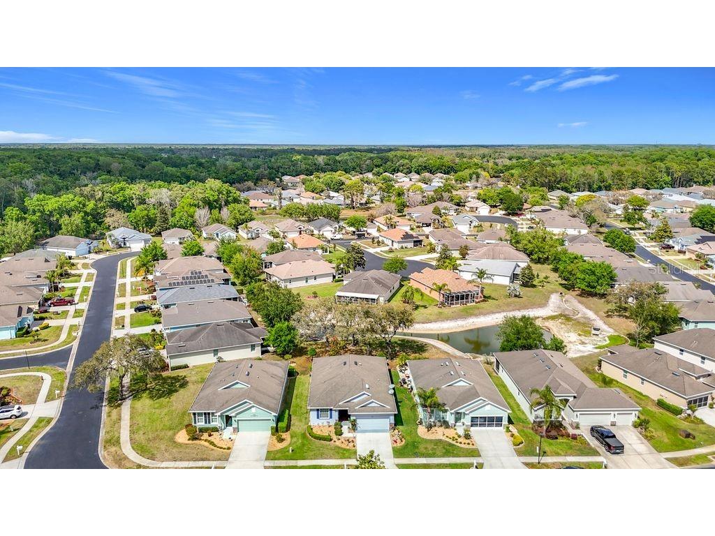11213 Kiskadee Circle New Port Richey FL 34654 TB8494229 image51