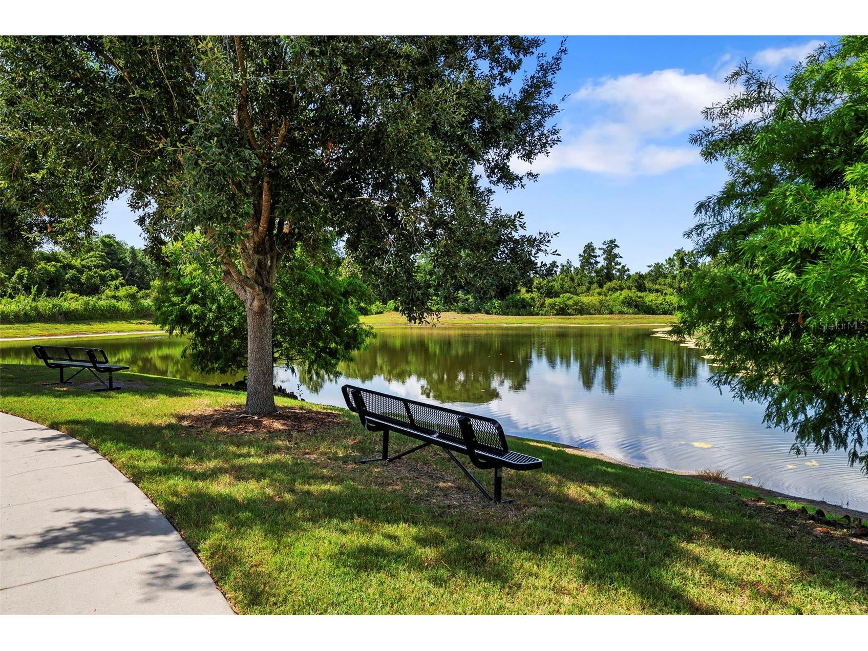 11213 Moultrie Place Tampa FL 33625 TB8522053 image32