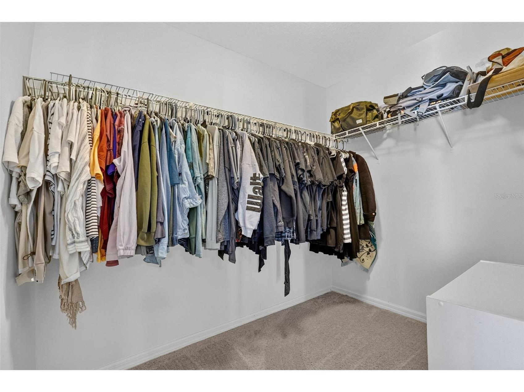 11214 Carrick Stone Street Wimauma FL 33598 TB8451322 image39