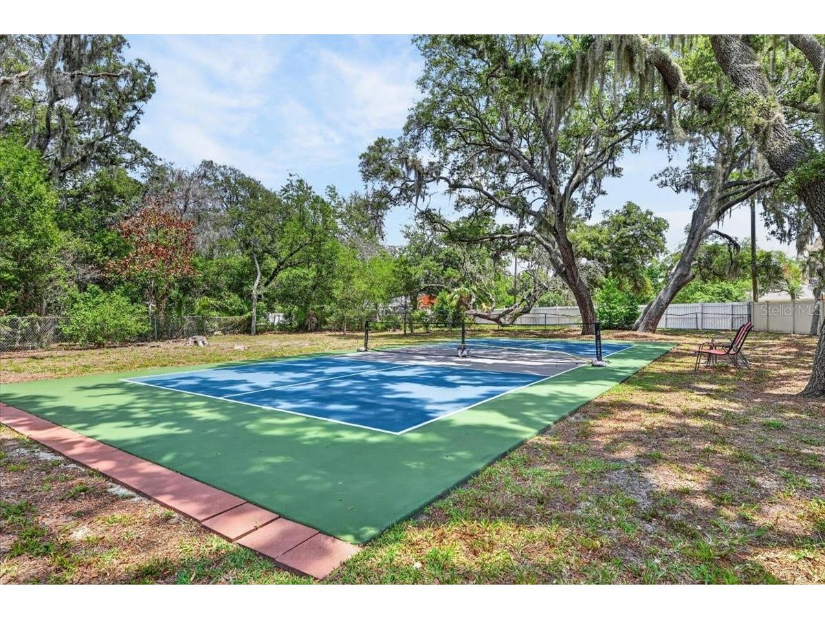 11214 Leprechaun Drive Riverview FL 33569 TB8507086 image63