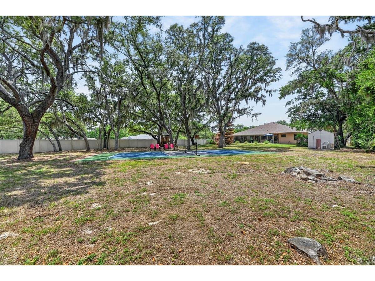 11214 Leprechaun Drive Riverview FL 33569 TB8507086 image65