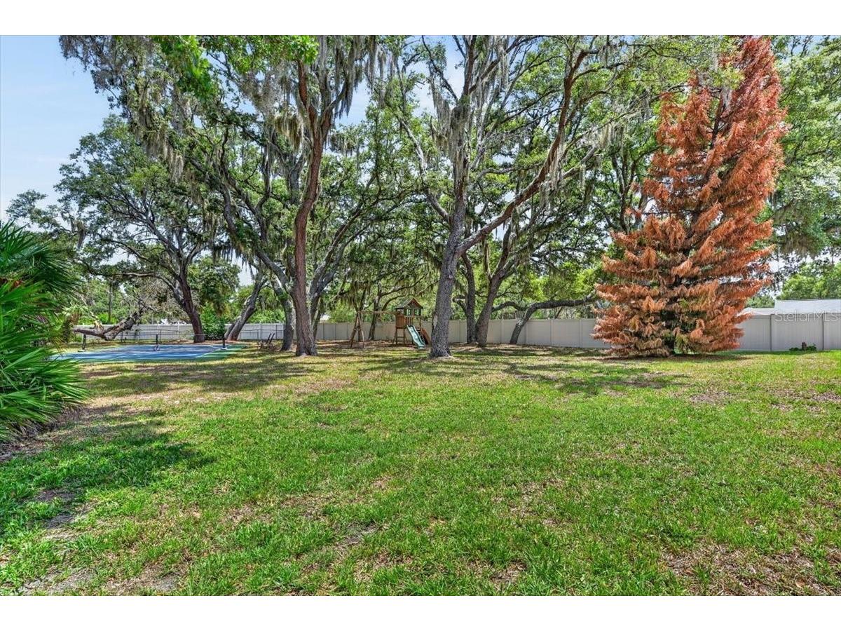 11214 Leprechaun Drive Riverview FL 33569 TB8507086 image66