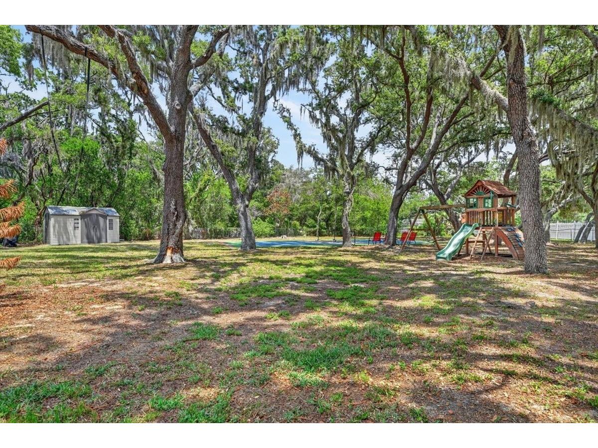 11214 Leprechaun Drive Riverview FL 33569 TB8507086 image67