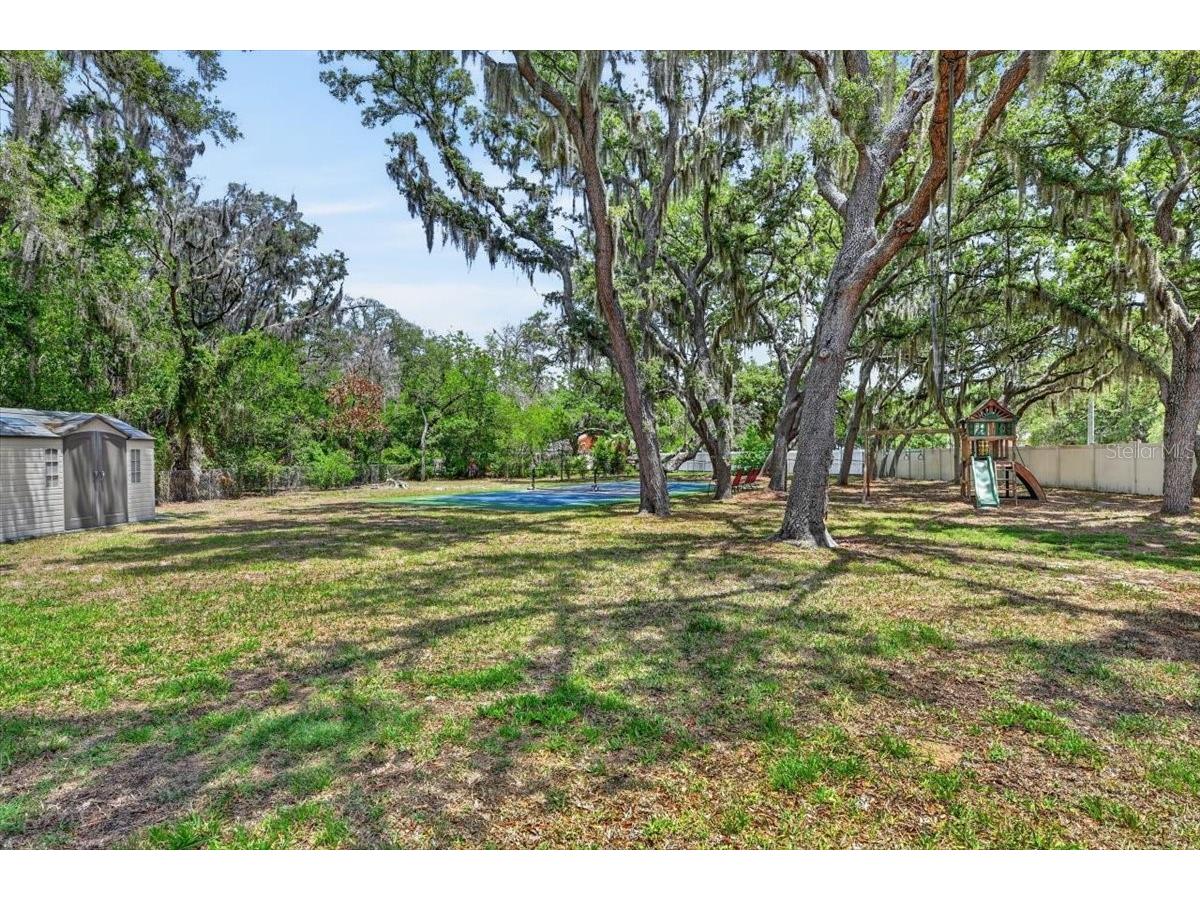 11214 Leprechaun Drive Riverview FL 33569 TB8507086 image69