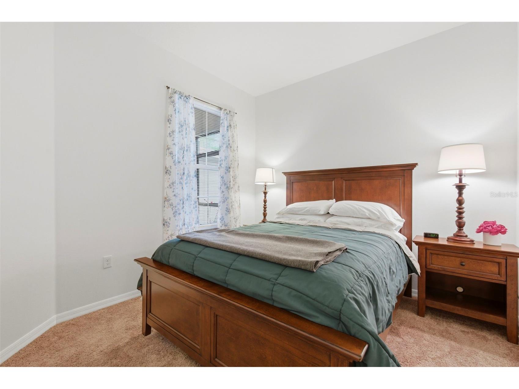11214 Port Douglas Drive New Port Richey FL 34654 TB8497215 image15