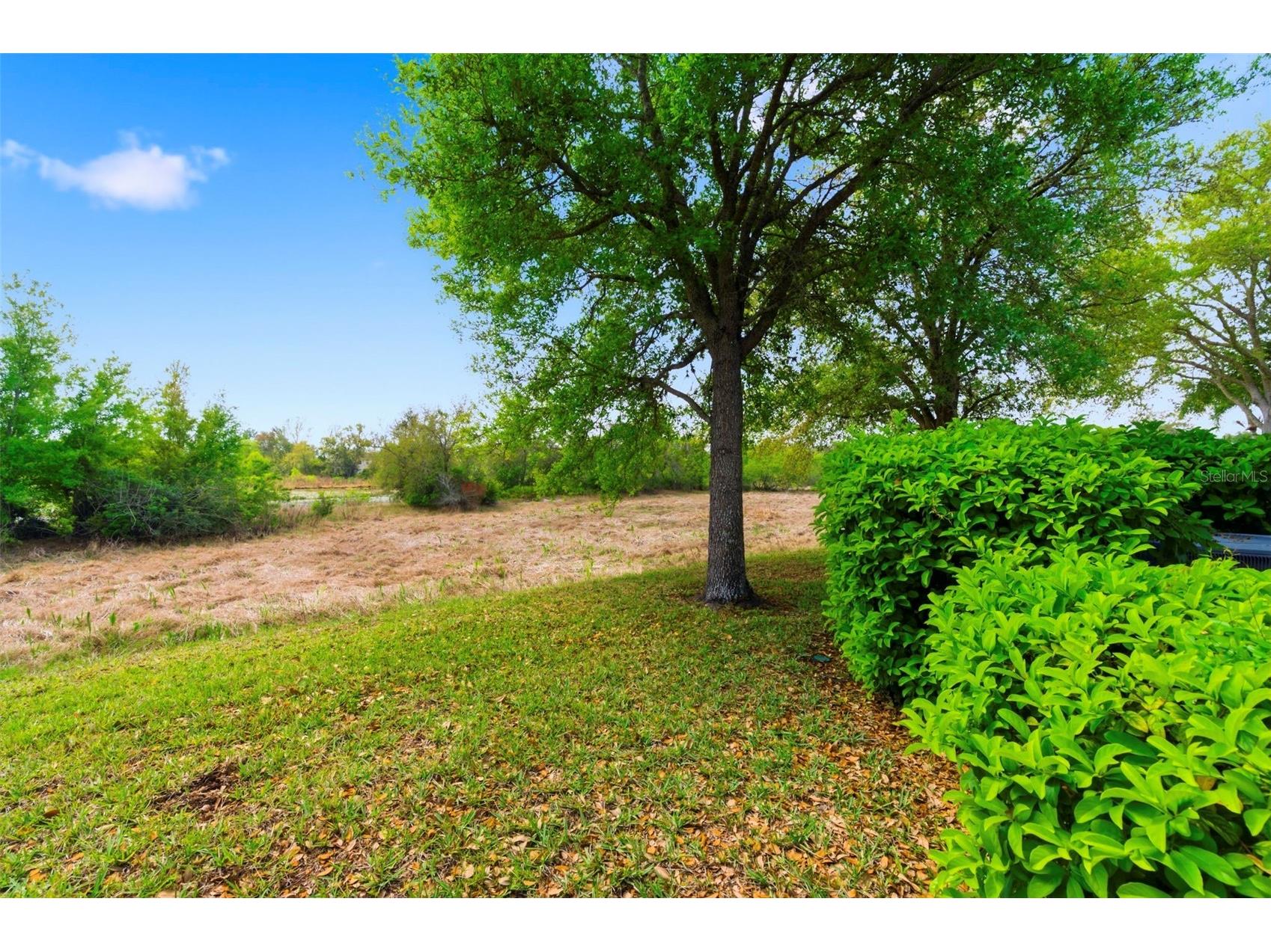 11214 Port Douglas Drive New Port Richey FL 34654 TB8497215 image32