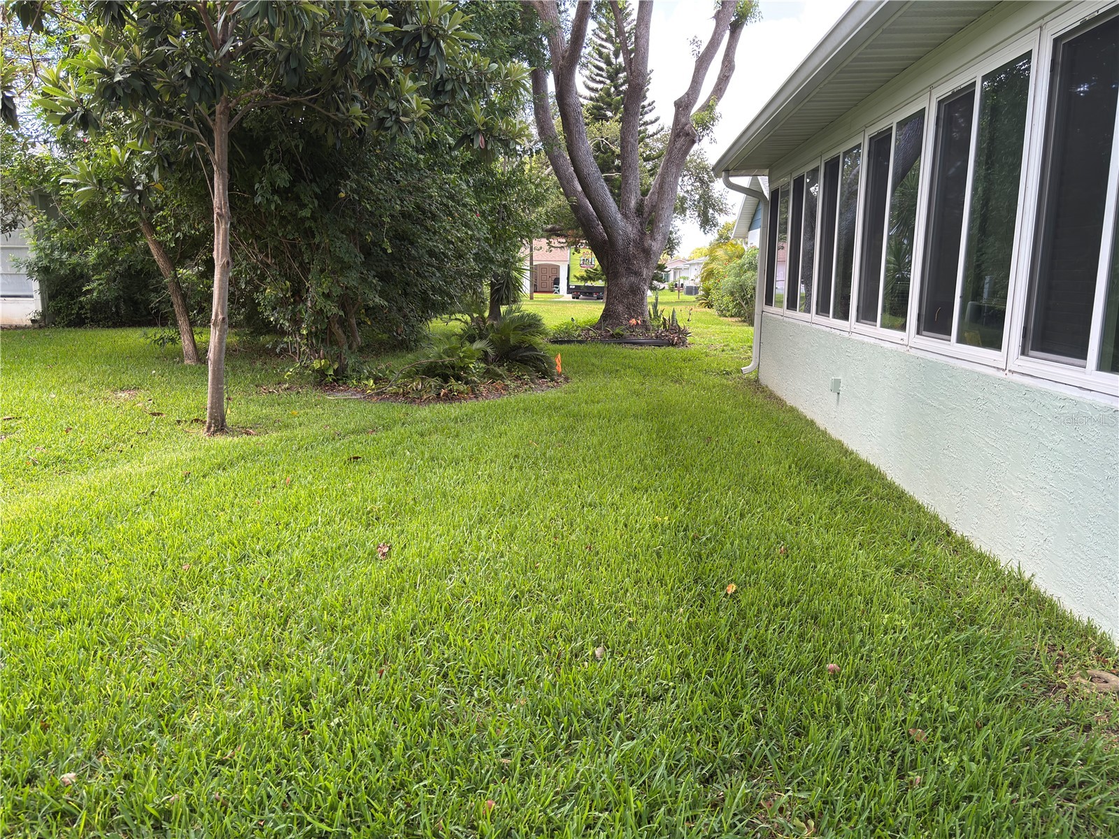 11214 Rollingwood Drive Port Richey FL 34668 TB8523803 image18