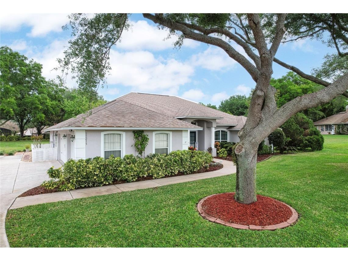 11215 Haskell Drive, Clermont, FL, 34711 MLS O6190980 Edina Realty