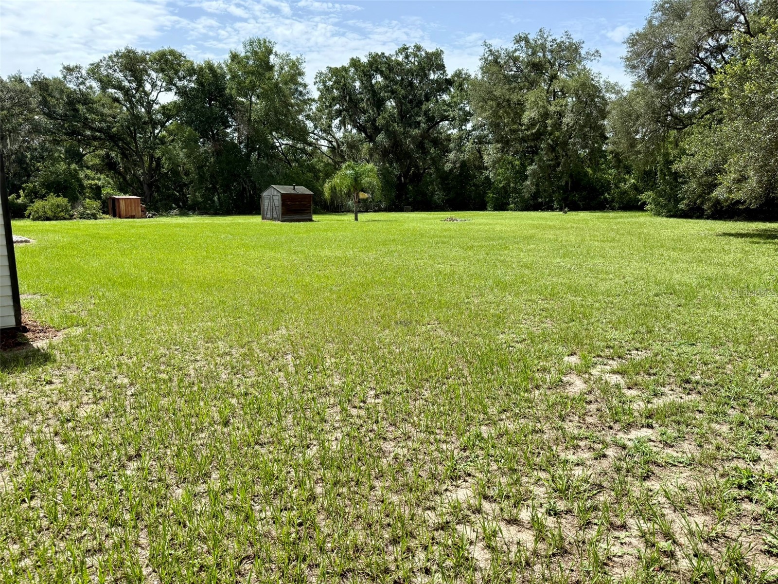 11215 Russell Drive Seffner FL 33584 TB8529334 image10