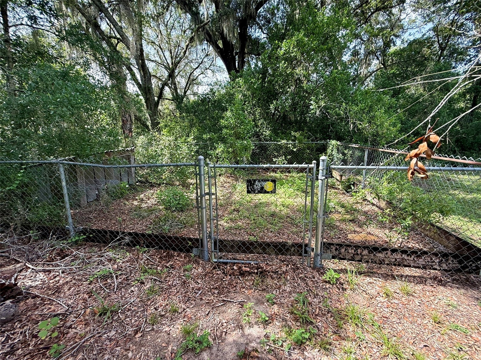 11215 Russell Drive Seffner FL 33584 TB8529334 image14