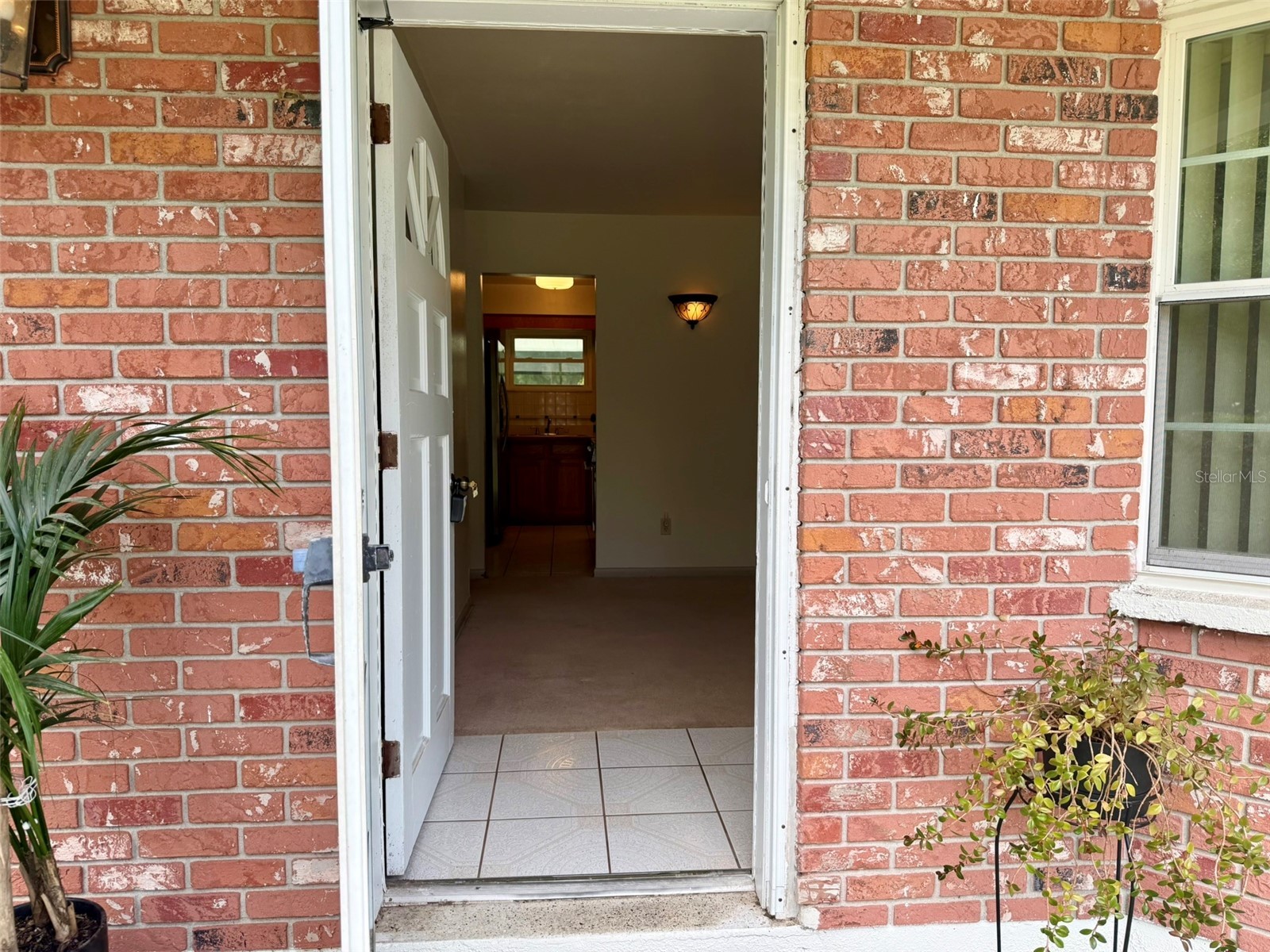 11215 Russell Drive Seffner FL 33584 TB8529334 image22