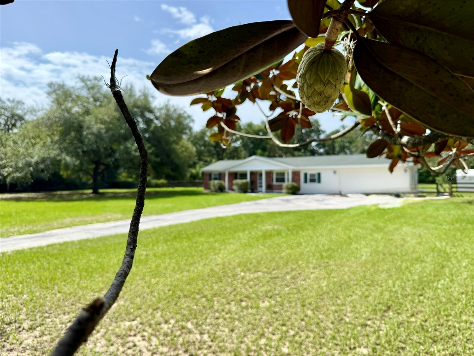 11215 Russell Drive Seffner FL 33584 TB8529334 image3