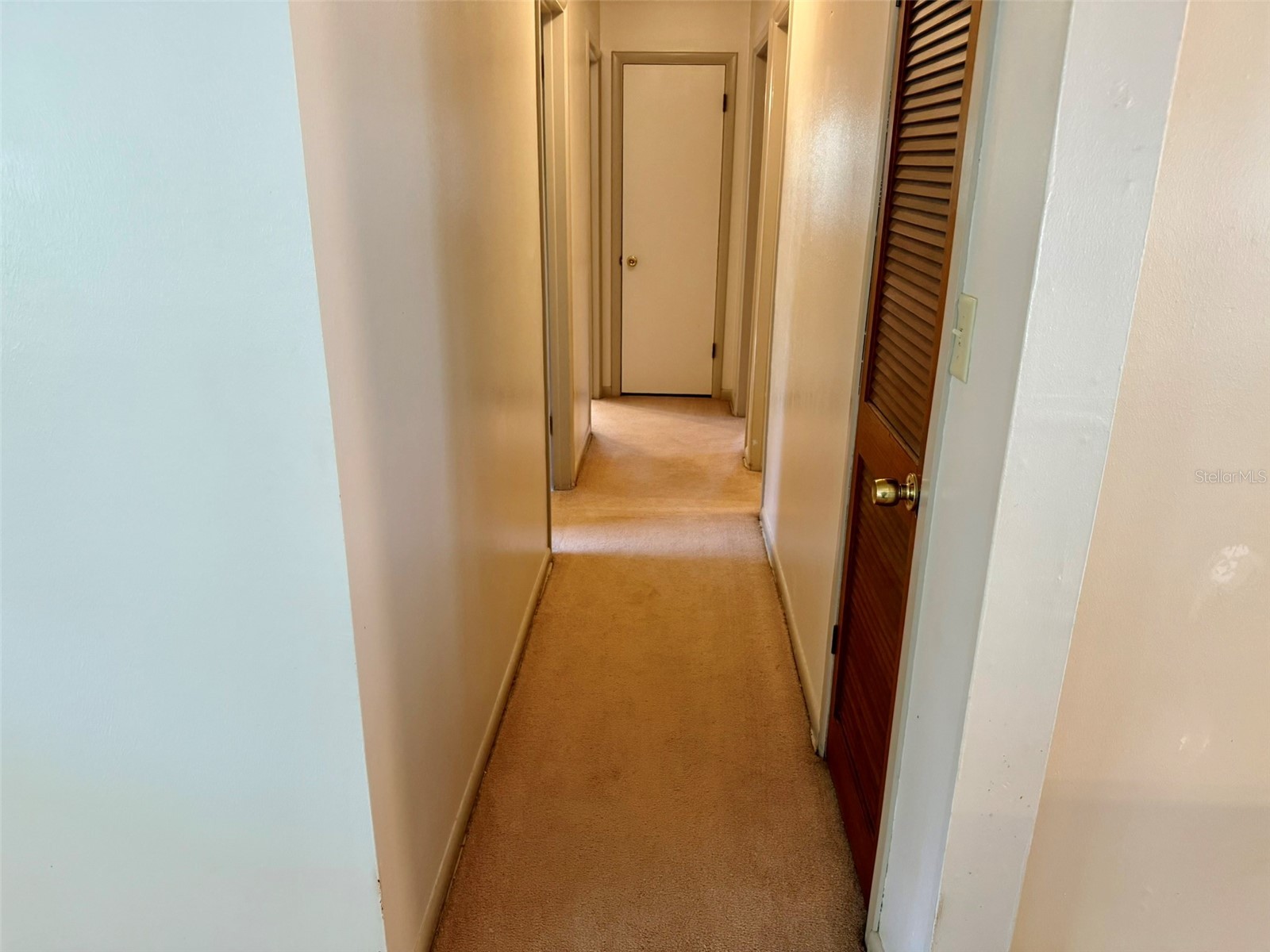 11215 Russell Drive Seffner FL 33584 TB8529334 image37