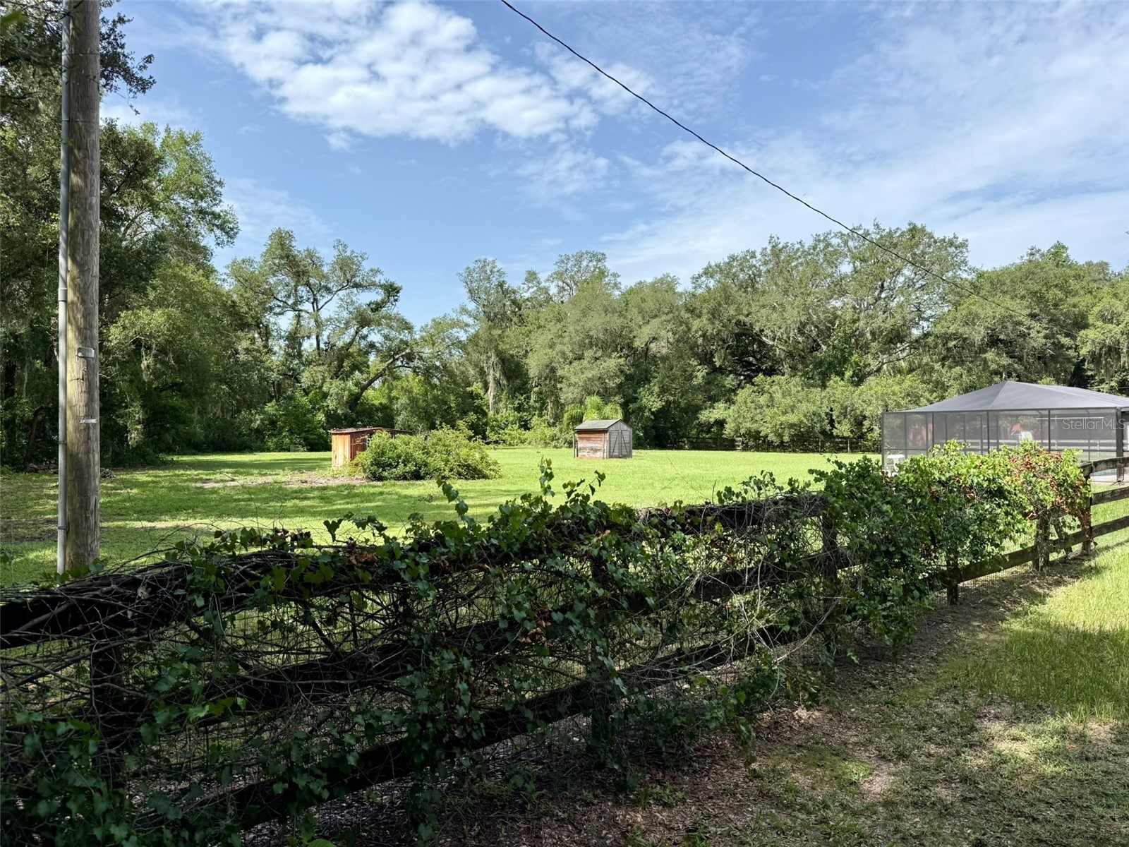 11215 Russell Drive Seffner FL 33584 TB8529334 image4