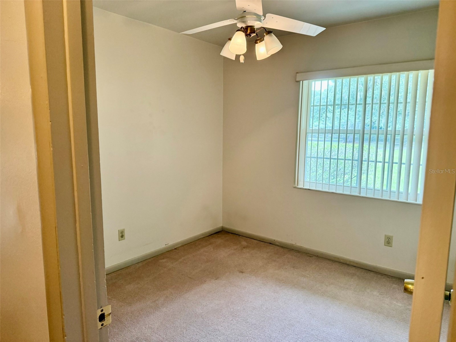 11215 Russell Drive Seffner FL 33584 TB8529334 image40