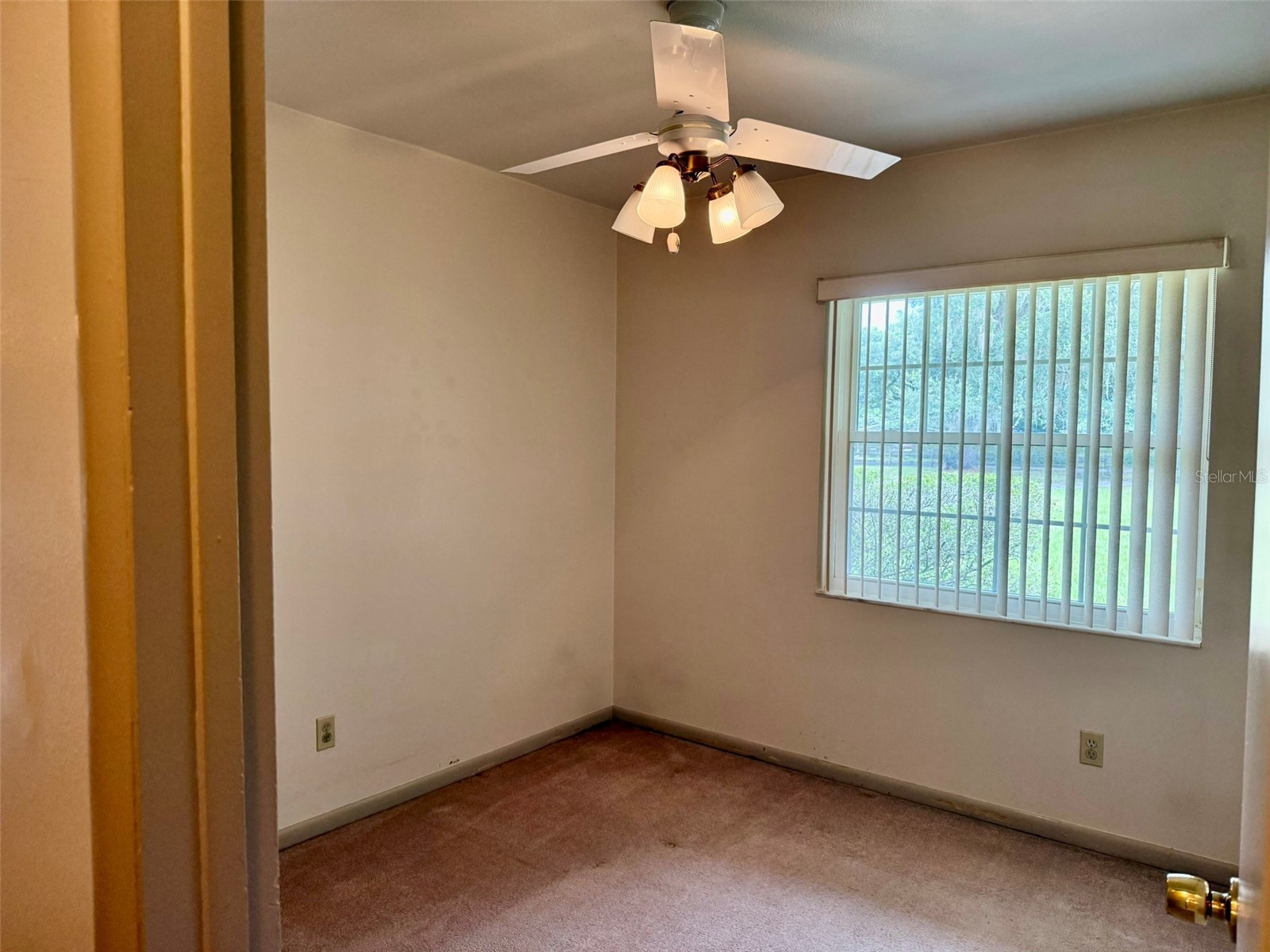11215 Russell Drive Seffner FL 33584 TB8529334 image41