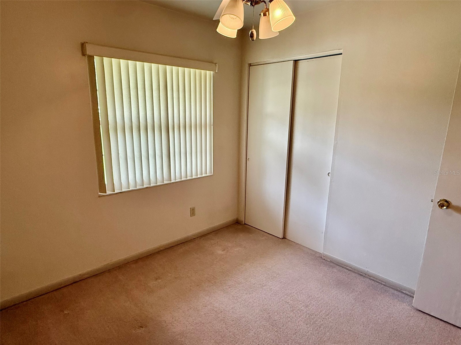 11215 Russell Drive Seffner FL 33584 TB8529334 image42