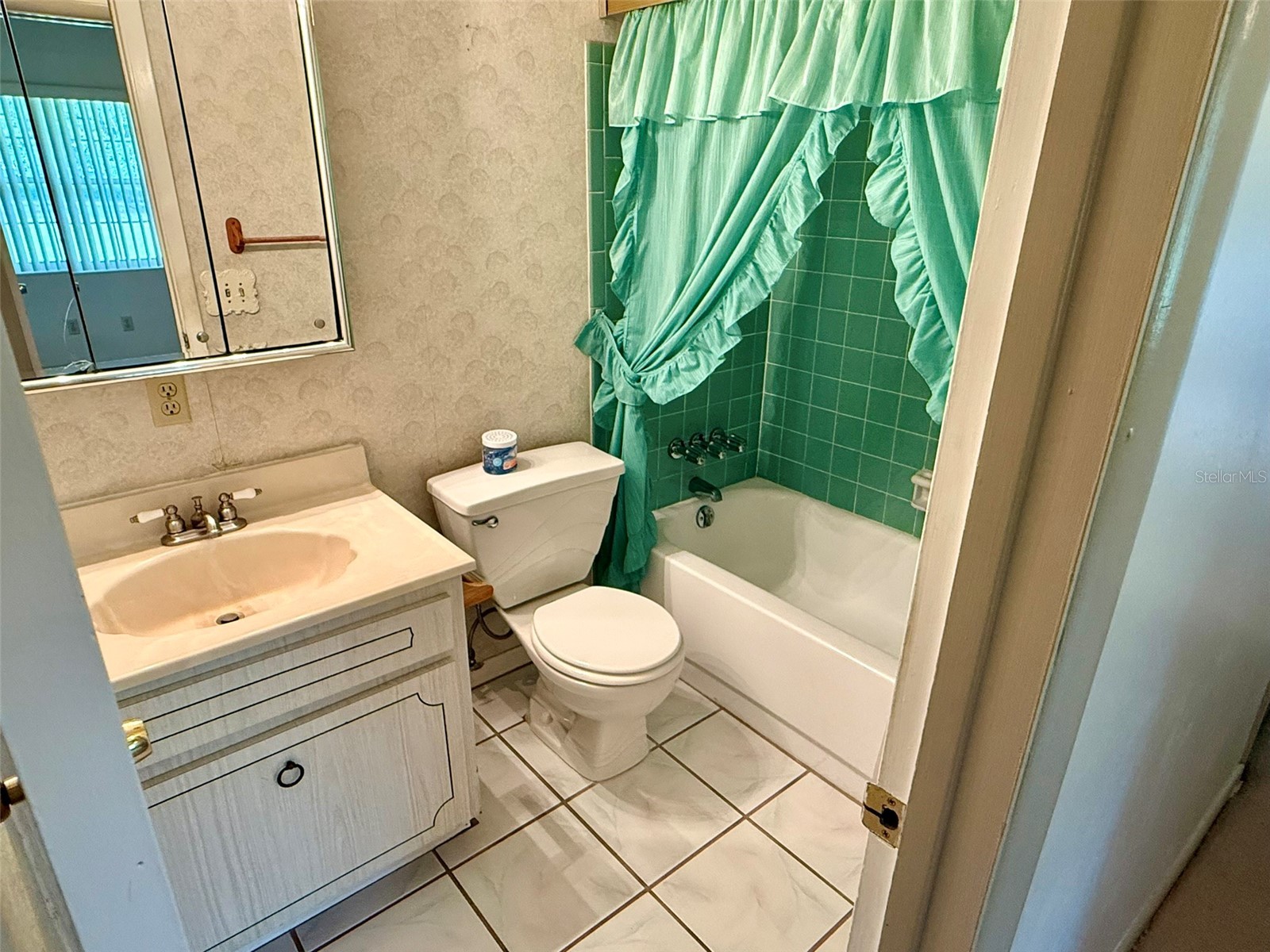 11215 Russell Drive Seffner FL 33584 TB8529334 image46