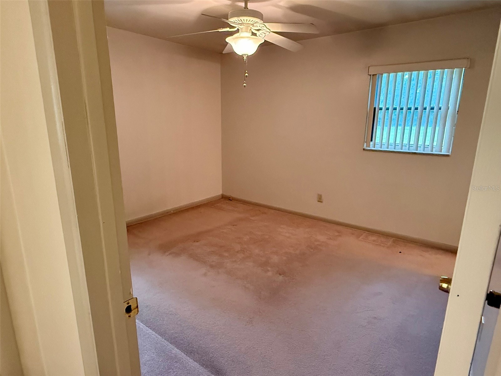 11215 Russell Drive Seffner FL 33584 TB8529334 image49