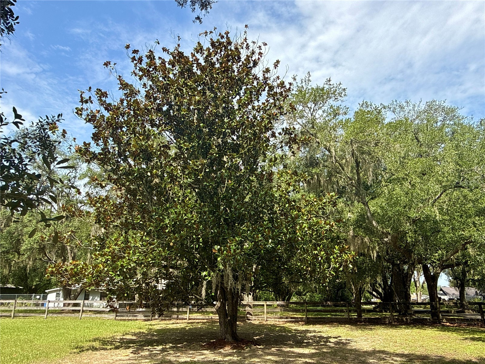 11215 Russell Drive Seffner FL 33584 TB8529334 image5