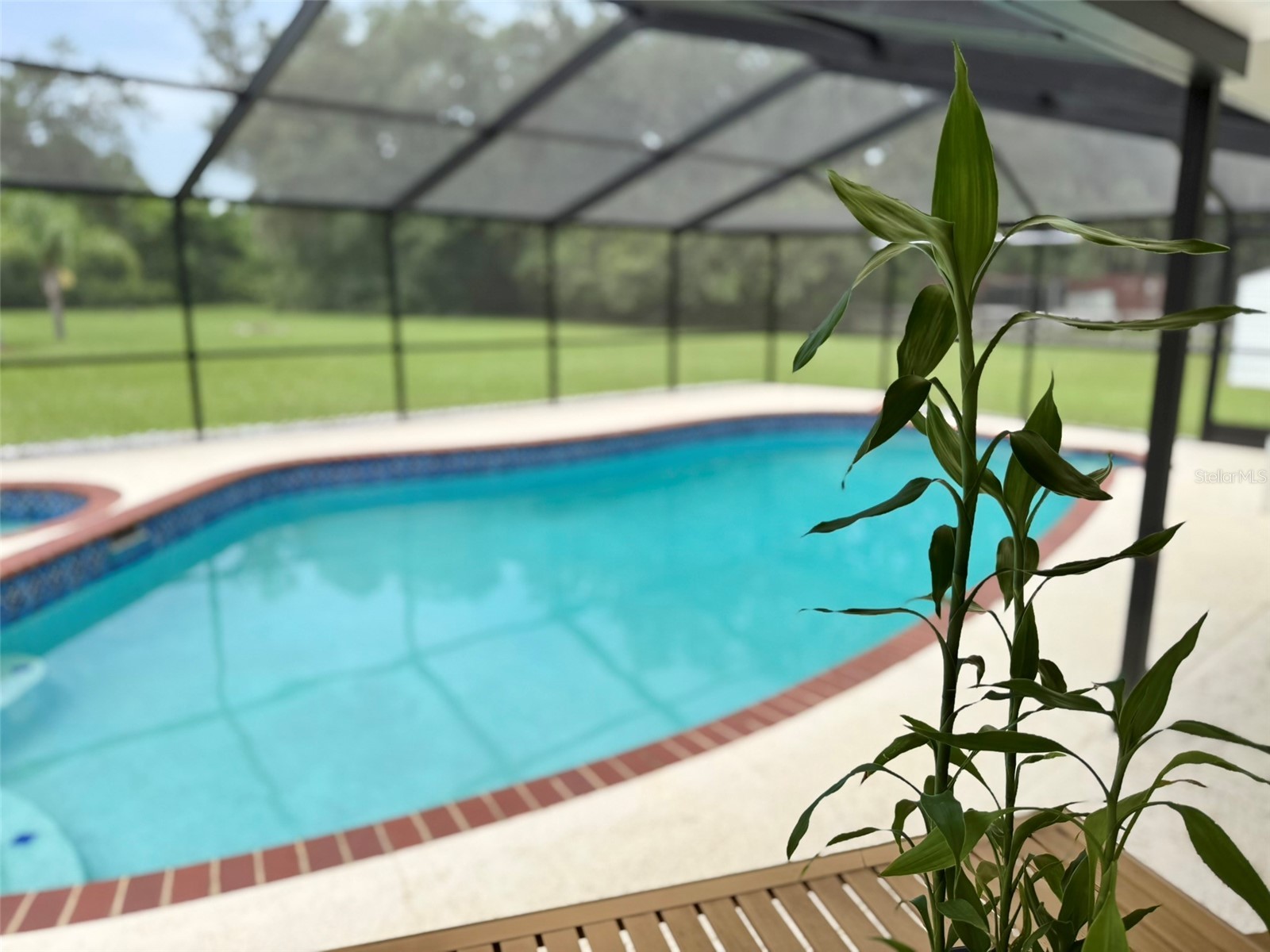 11215 Russell Drive Seffner FL 33584 TB8529334 image80